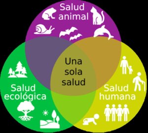 Una sola salud: enfoque para optimizar la salud de los humanos, animales y ecosistemas