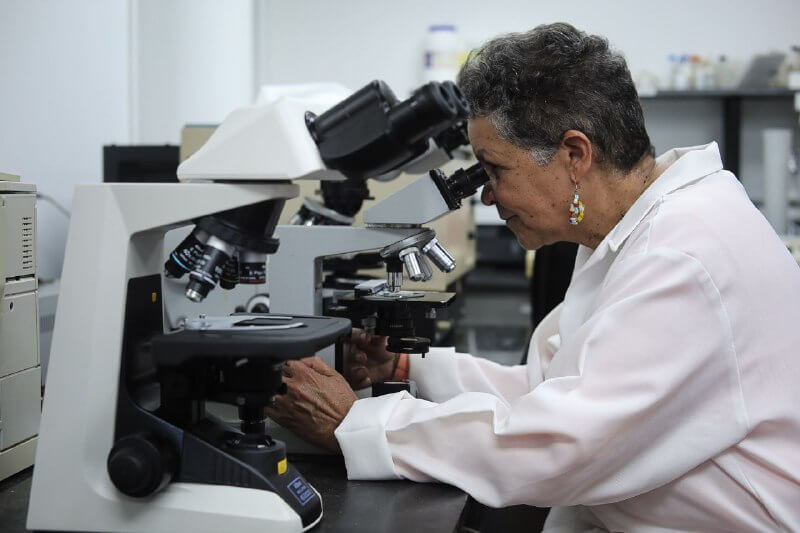 Dra. Elizabeth Merentes investiga aportes de las células madre para la medicina regenerativa