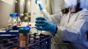 Martillos moleculares: nuevo tratamiento que busca eliminar el 99% de células cancerosas en laboratorio
