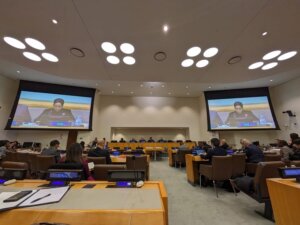 Comité Especial de la ONU elige a Caracas como sede del Seminario Regional del Caribe